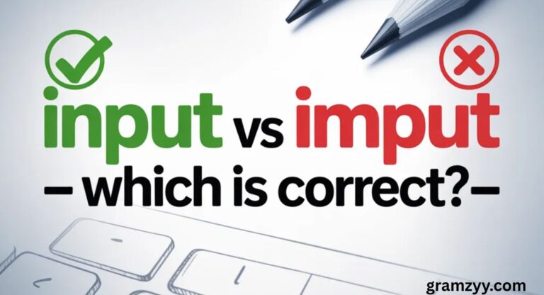 Input vs Imput — Which Is Correct?