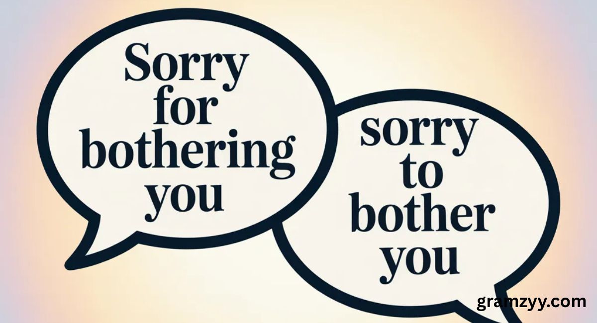 Sorry for Bothering You vs Sorry to Bother You: Which Is Correct?