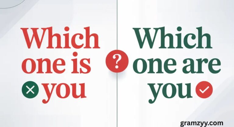 “Which One Is You” or “Which One Are You”? The Right Answer