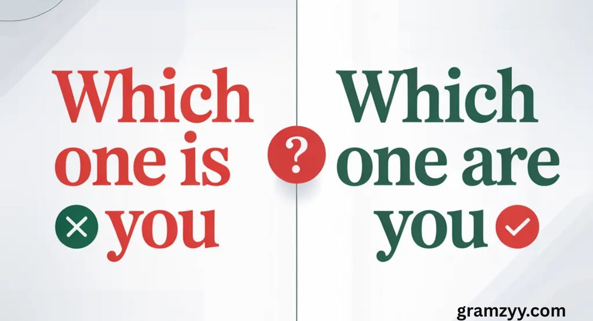 “Which One Is You” or “Which One Are You”? The Right Answer