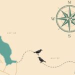 As the Crow Flies: Meaning, Usage, and Examples