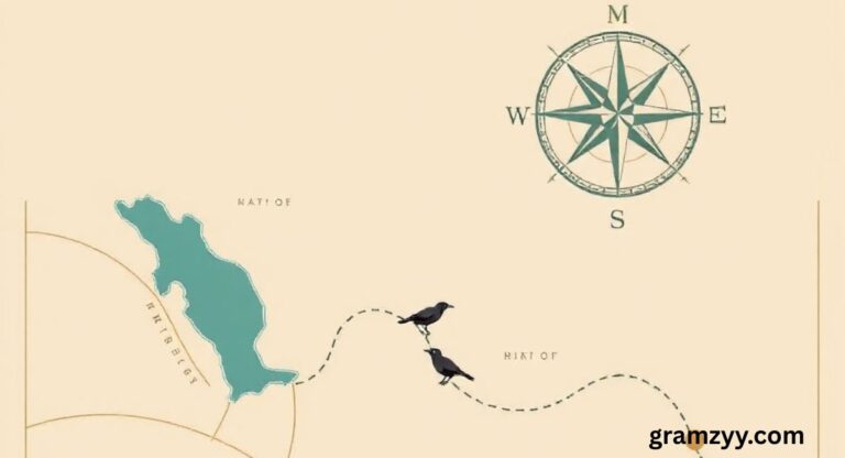 As the Crow Flies: Meaning, Usage, and Examples