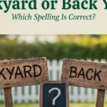 Backyard or Back Yard: Which Spelling Is Correct?