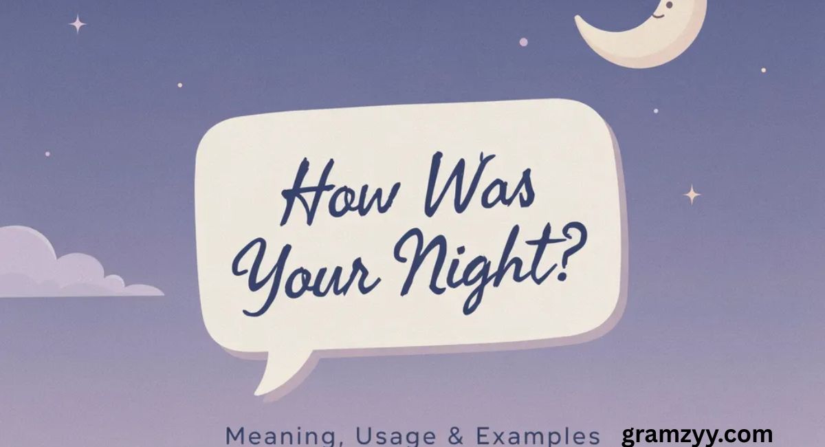 How Was Your Night? Meaning, Usage, and Examples