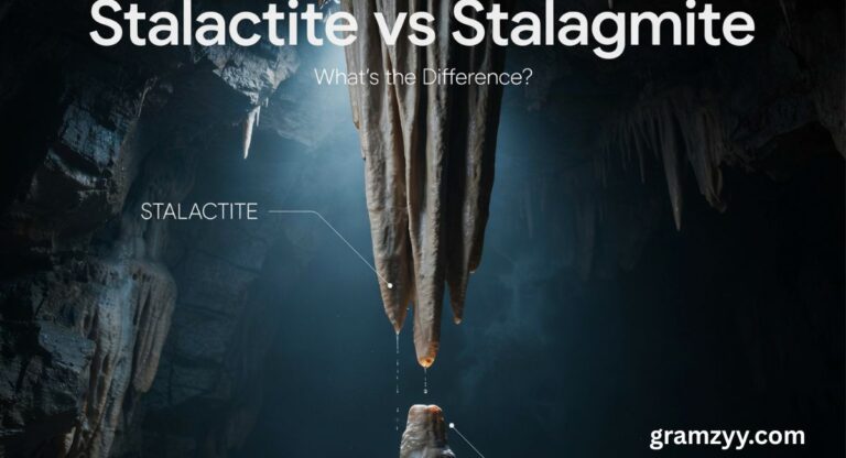 Stalactite vs Stalagmite: What’s the Difference?