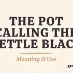 The Pot Calling the Kettle Black: Meaning and Use