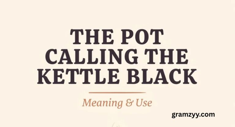The Pot Calling the Kettle Black: Meaning and Use