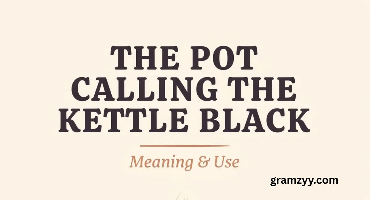 The Pot Calling the Kettle Black: Meaning and Use